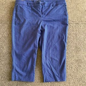Blue Crop Pants - Professional Size 12